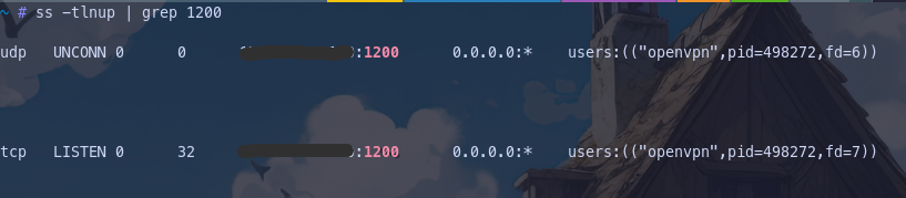 RWill_2026-02-20%2012-05-55